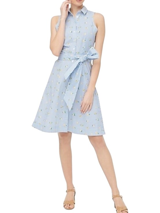 J. Crew Factory Dresses & Skirts - J. Crew Blue & White Stripe Lemon Print Shirtdress Size 2